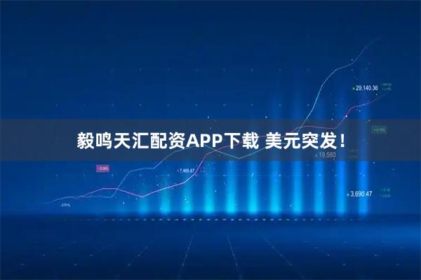 毅鸣天汇配资APP下载 美元突发！