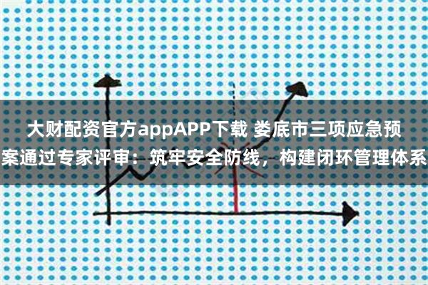 大财配资官方appAPP下载 娄底市三项应急预案通过专家评审：筑牢安全防线，构建闭环管理体系